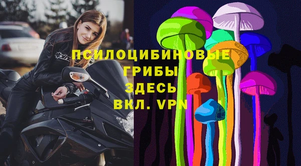 шишки Аркадак