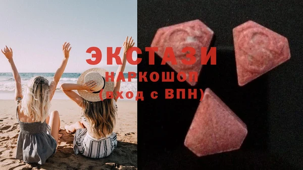 шишки Аркадак