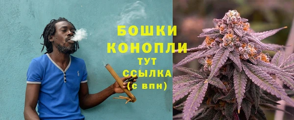 шишки Аркадак