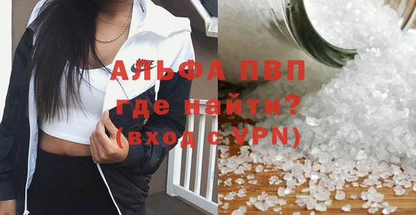 шишки Аркадак