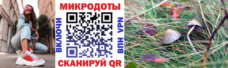 купить   Гремячинск  Галлюциногенные грибы прущие грибы 